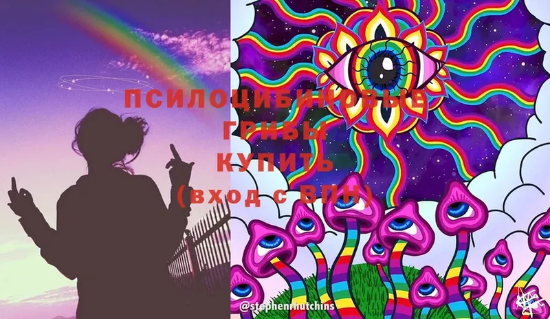 наркошоп  Когалым  Галлюциногенные грибы Cubensis 